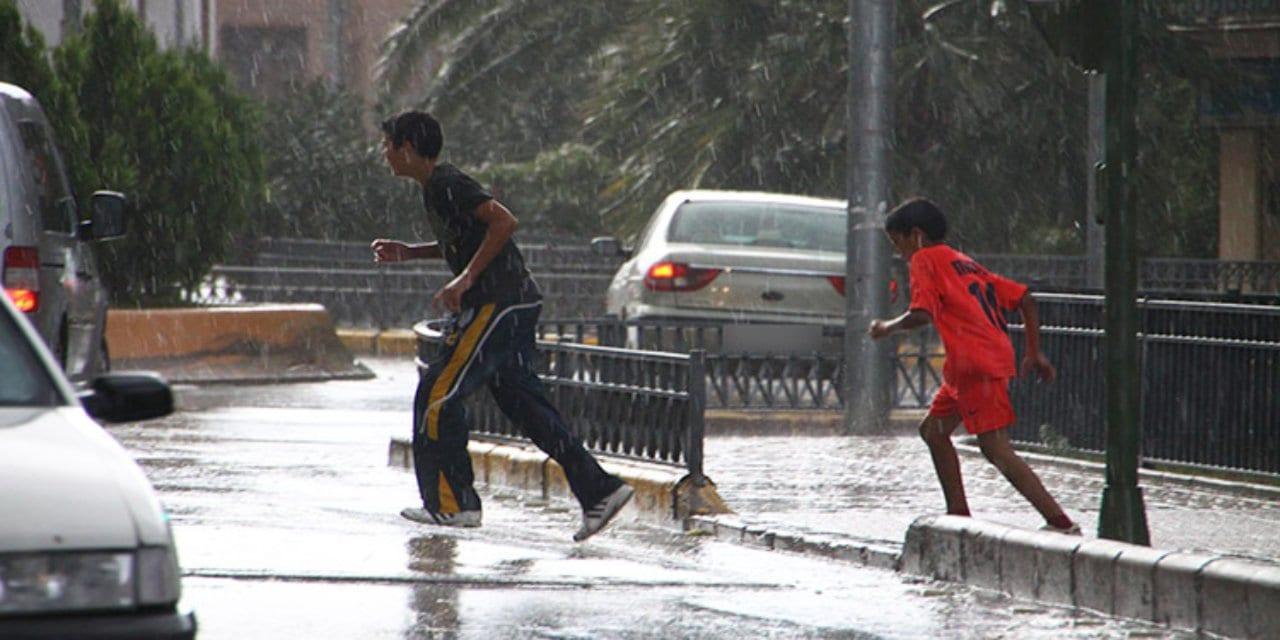 Imagen de Estas son algunas razones por las que el agua lluvia podría enfermarte