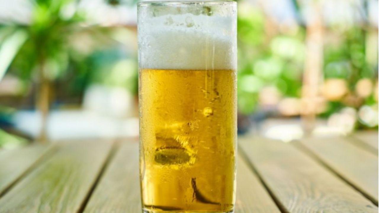 Imagen Principal de Nota: Por estas razones debes ponerle cerveza a las plantas de tu casa