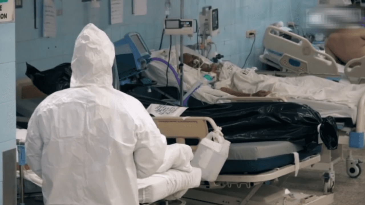 Imagen de ¿Cuáles son las secuelas leves o graves que puede dejar el covid-19 en los pacientes?