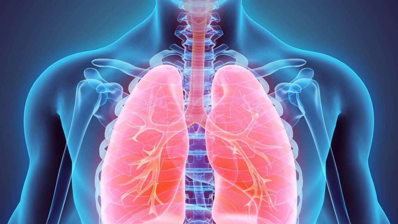 Imagen de 8 alimentos que ayudan a fortalecer los pulmones