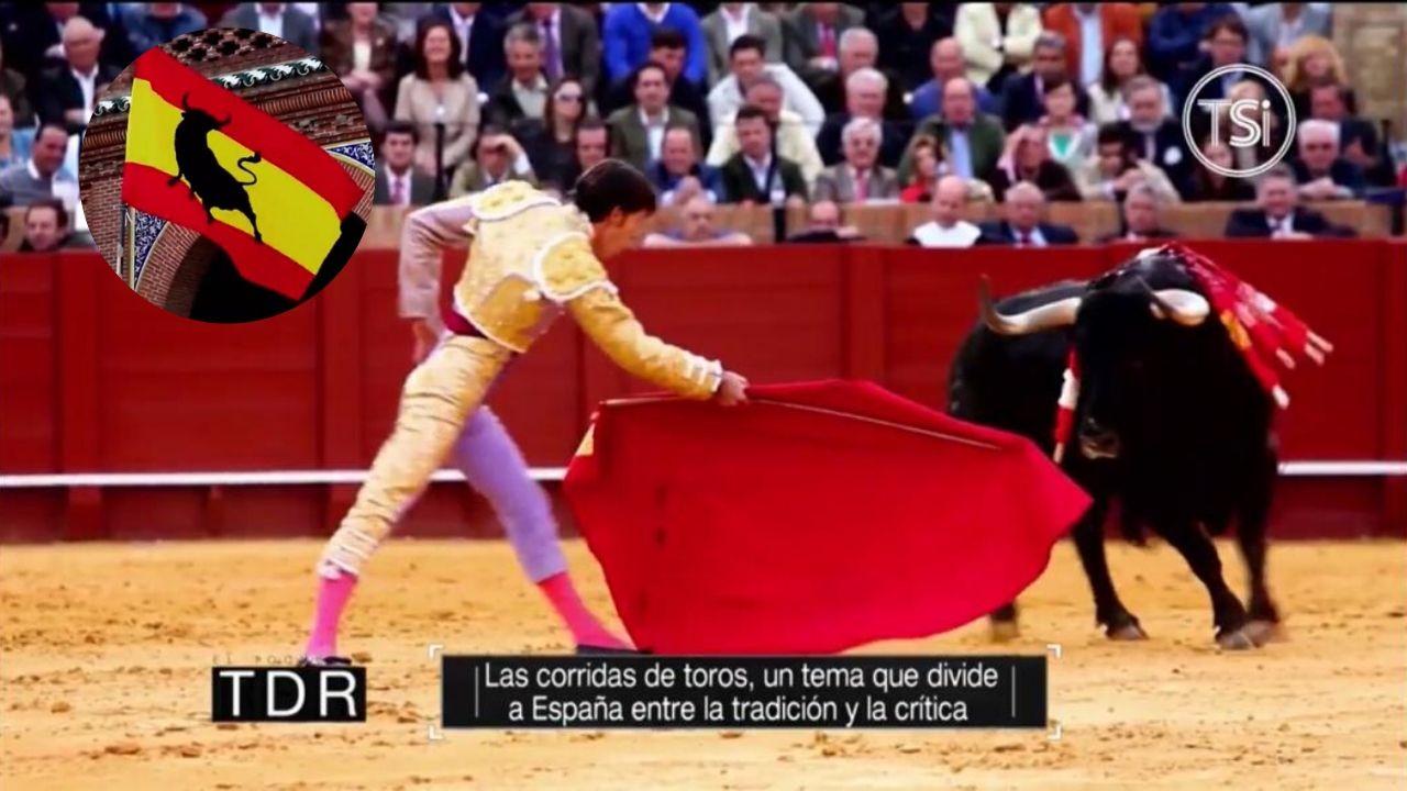 Imagen Principal de Nota: Rely Maradiaga vivió de cerca la Tauromaquia, una práctica polémica en España
