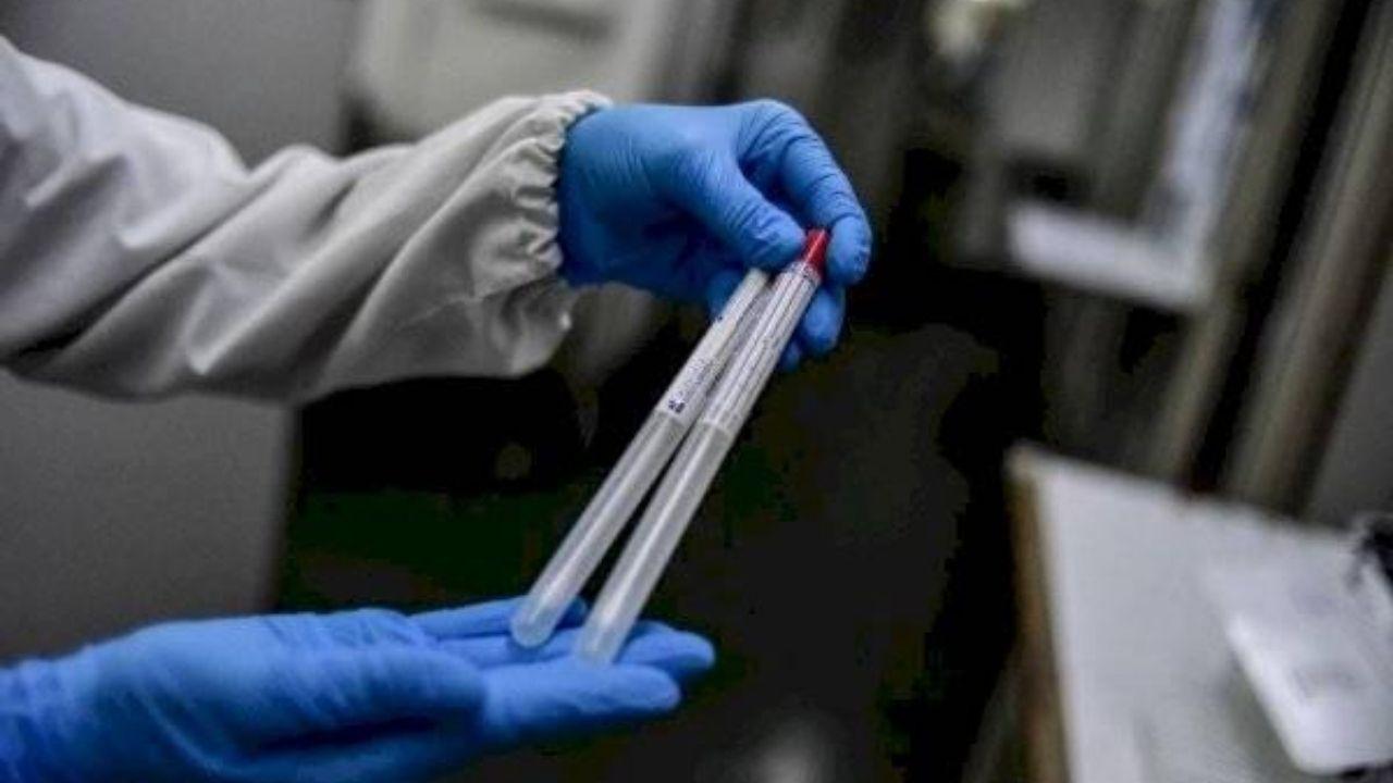 Imagen de Nueva cepa del coronavirus es 10 veces más infecciosa que la actual según científicos