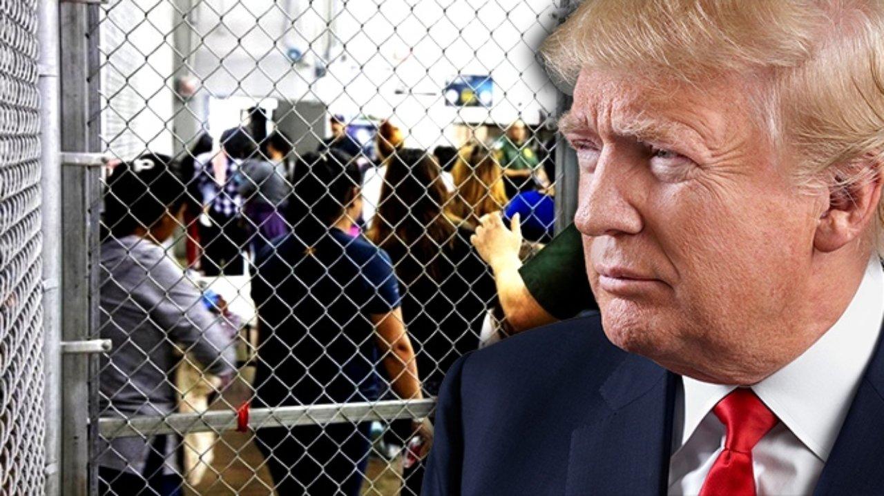 Imagen Principal de Nota: ¿Qué inmigrantes podrían aplicar a la residencia permanente y la naturalización tras la reforma 'por méritos' de Trump?