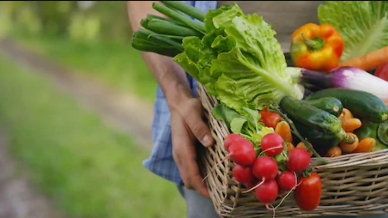 Imagen Principal de Nota: Los 5 vegetales que puedes cultivar en casa y no lo sabías