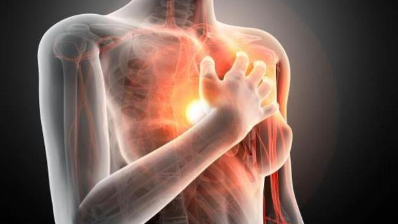 Imagen de ¿Cuál es la diferencia entre un corazón sano y el de un paciente con complicaciones por covid?, expertos lo explican