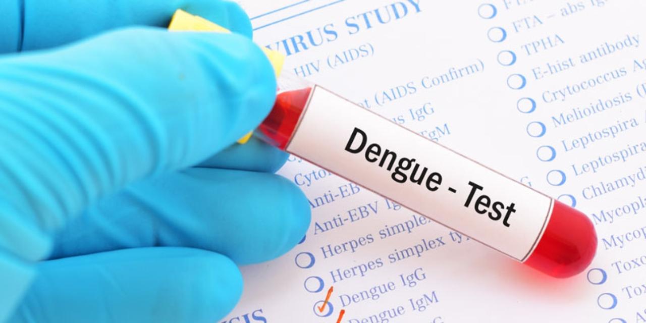 Imagen Principal de Nota: Siete departamentos de Honduras en emergencia por dengue
