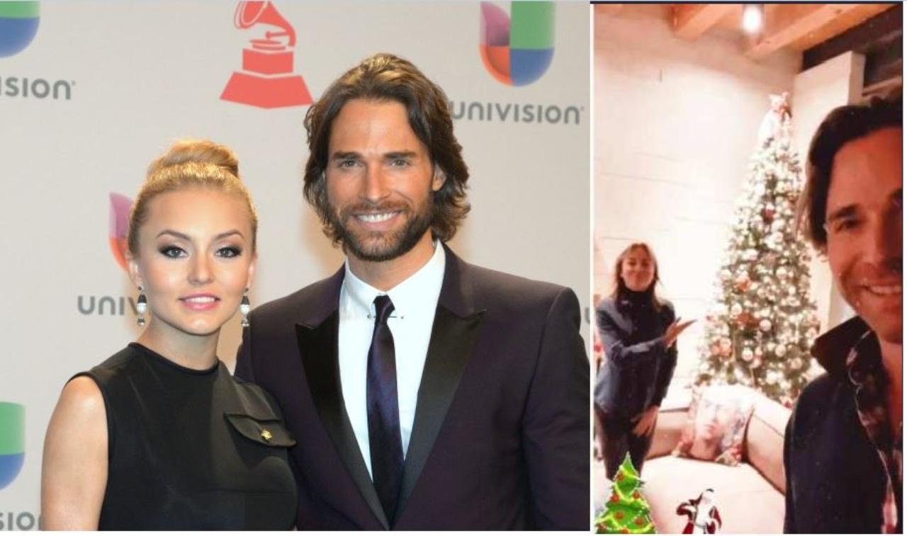Imagen Principal de Nota: Angelique Boyer y Sebastián Rulli comparten fotos de su  espectacular árbol de Navidad