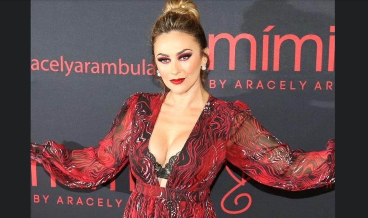 Imagen Principal de Nota: Aracely Arámbula conquista Instagram con sensual foto al llevar un elegante escote