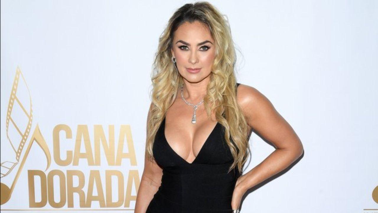 Imagen Principal de Nota: Aracely Arámbula conquista TikTok con sensual video y envía indirecta a Luis Miguel