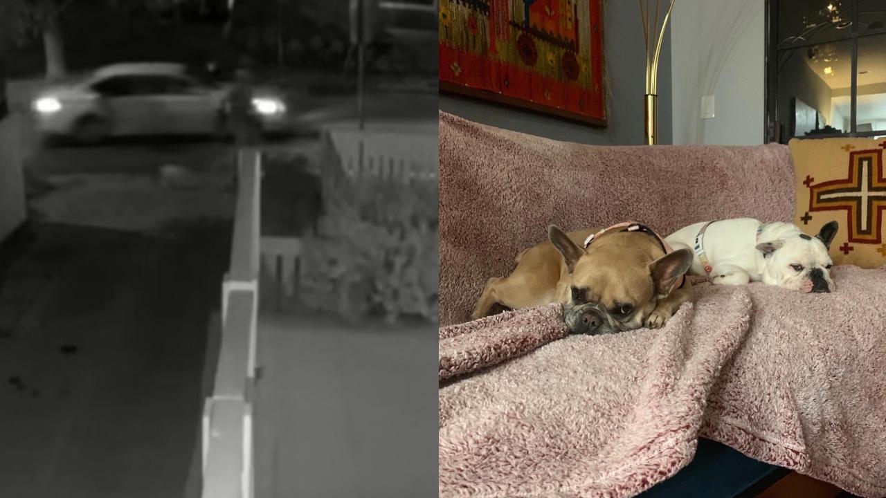 Imagen de Cámaras de seguridad captaron el atentado al cuidador de los perros de Lady Gaga