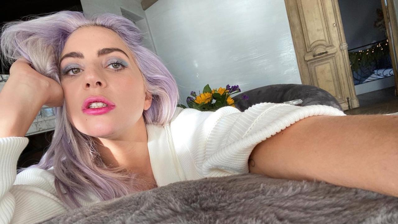 Imagen Principal de Nota: Lady Gaga ofrece recompensa de $500 mil por encontrar a ladrones que robaron a sus perros e hirieron de gravedad a su cuidador