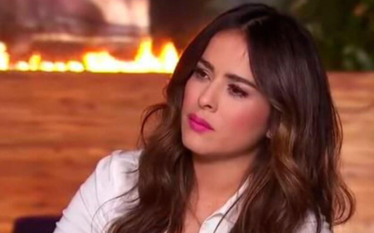 Imagen de Danna García lamentó la pérdida de las víctimas por covid