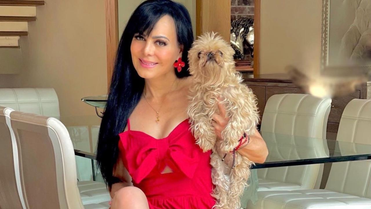 Imagen Principal de Nota: Le llueven los memes a Maribel Guardia por posar al lado de su perro 'descuidado'