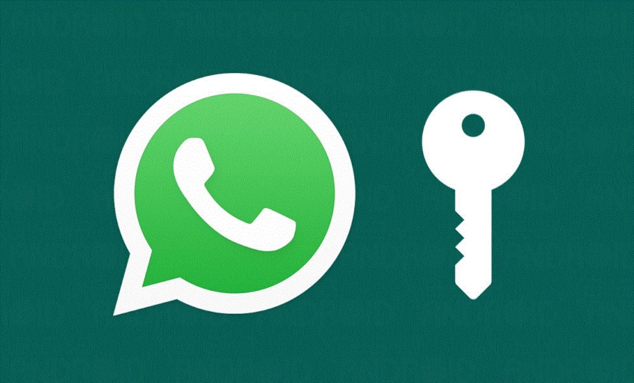 Imagen Principal de Nota: ¿Cómo verificar tu privacidad en WhatsApp y evitar que te agreguen a grupos de chat sin tu autorización?