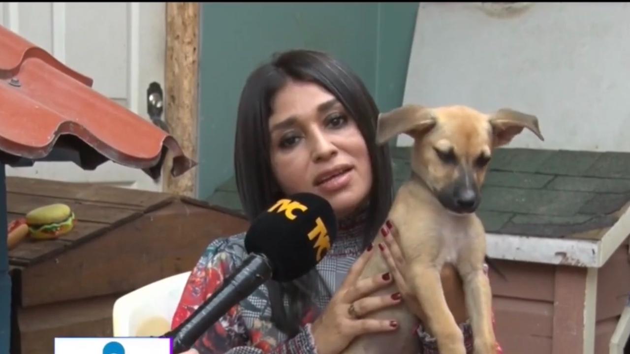 Imagen de Wendy López, 'el ángel guardián' de muchos perros hondureños