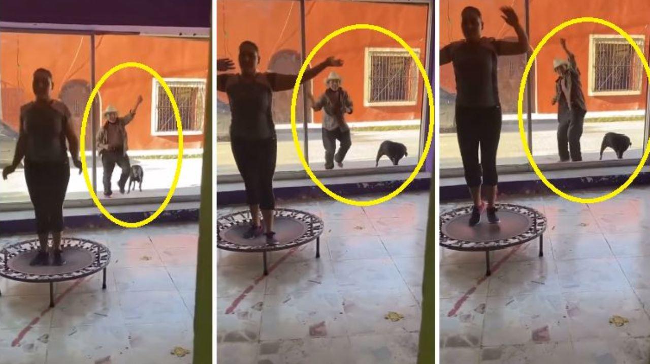 Imagen Principal de Nota: Abuelo y su perro se hacen viral en TikTok tras realizar rutina de ejercicios afuera de gimnasio