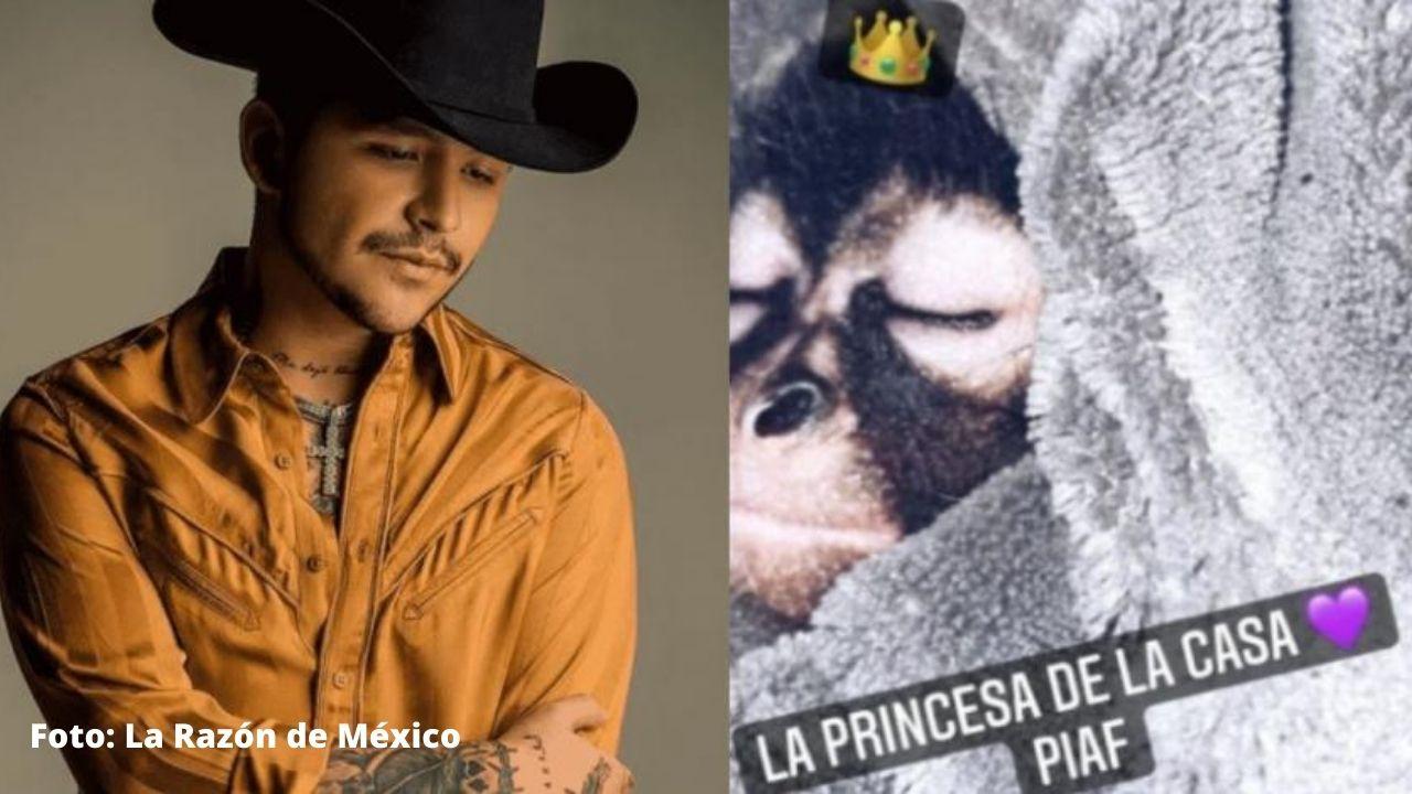 Imagen de Christian Nodal presume a un mono araña que tiene como mascota y podría enfrentar problemas legales, aquí la razón