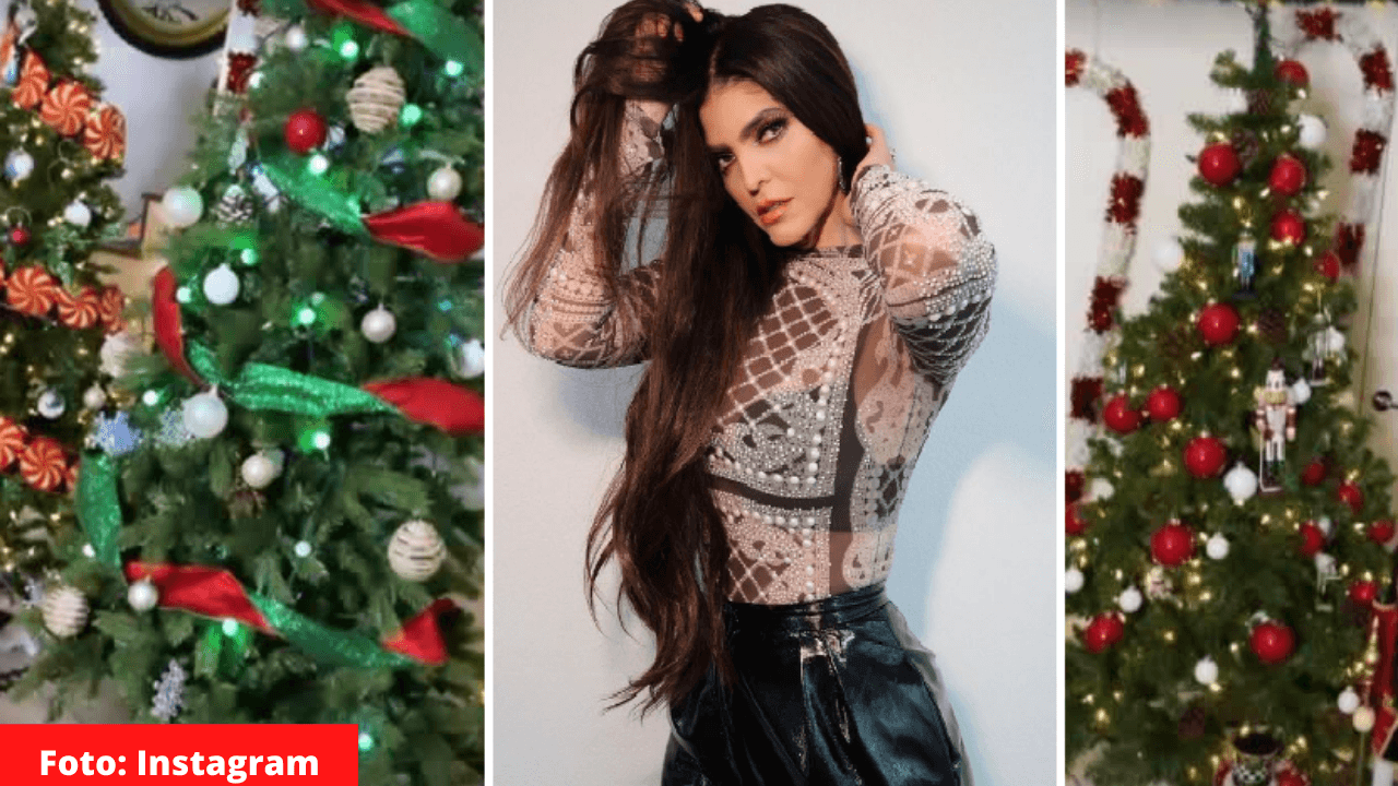Imagen de Ana Bárbara sorprende  con sus tres increíbles árboles de Navidad