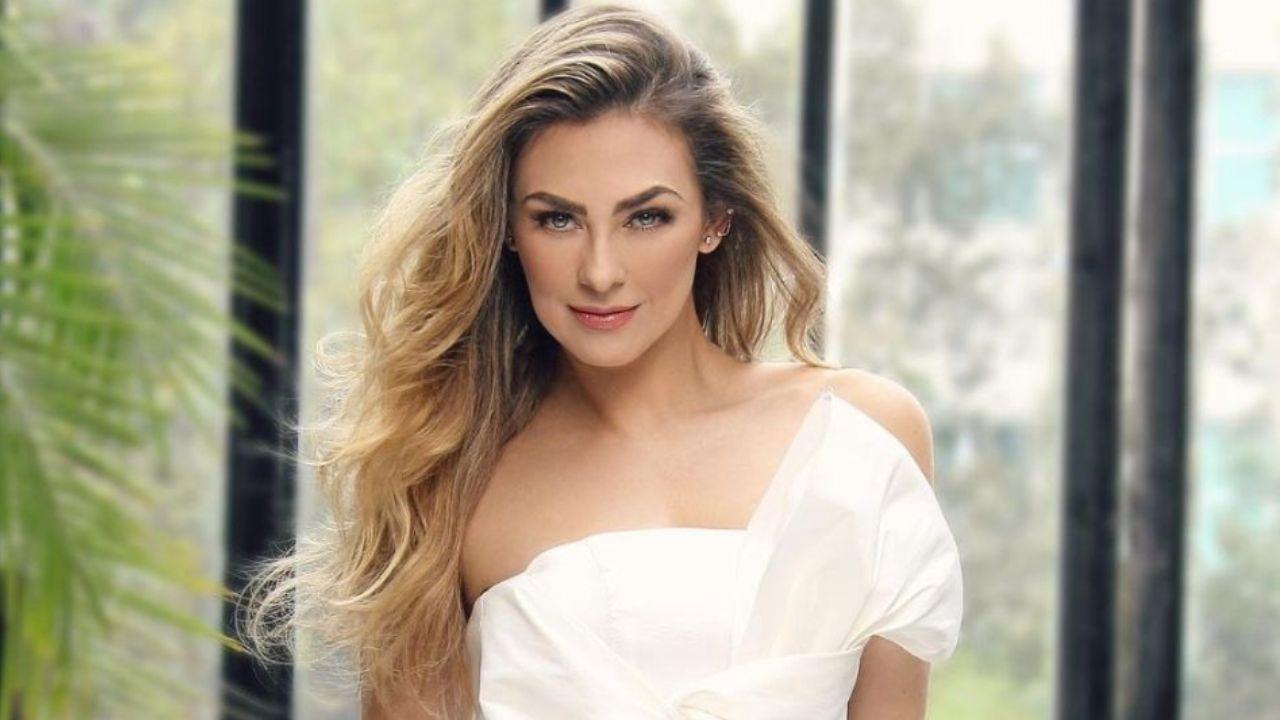 Imagen Principal de Nota: Aracely Arámbula enamora a sus seguidores con sexy lencería