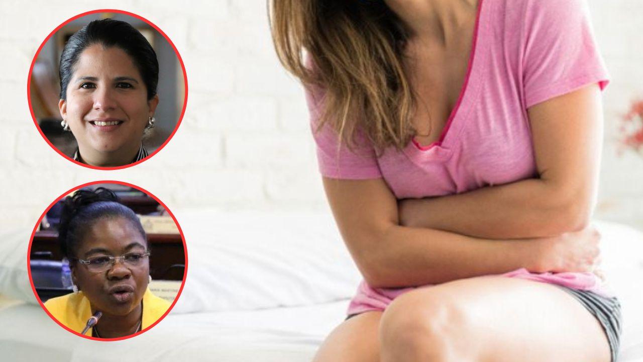 Imagen Principal de Nota: ¿Ley de incapacidad por problemas con la menstruación? Esto dicen diputadas