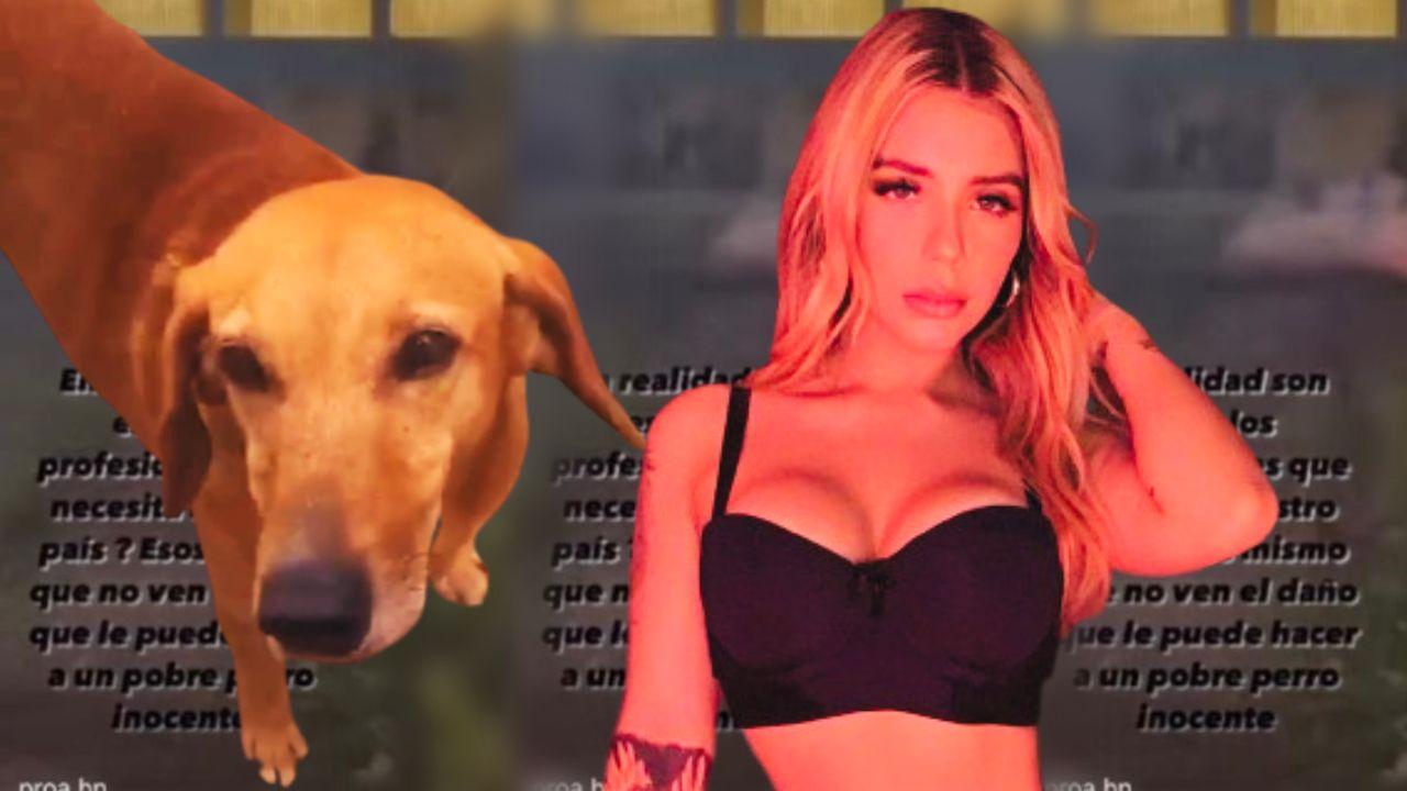 Imagen de ‘Bestias’: Jennifer Fúnes arremete contra estudiantes que 'incendiaron pólvora cerca de un perro'