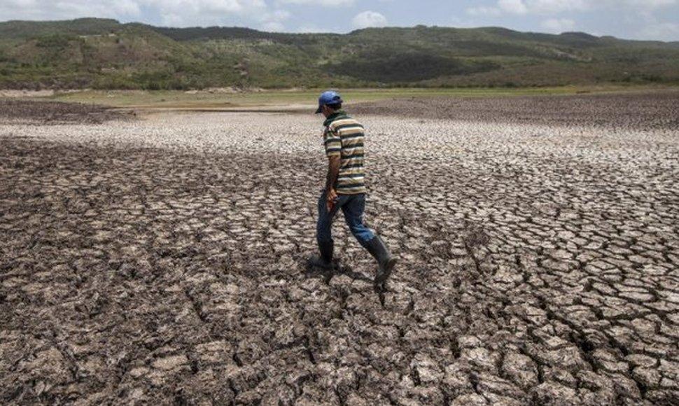 Imagen Principal de Nota: Honduras y la UE anuncian un plan de acción climática por más de $2.7 millones