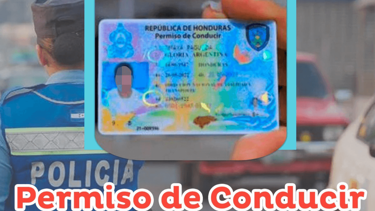 Imagen de ¡Desde el celular! Hondureños pueden tramitar licencia de conducir digital