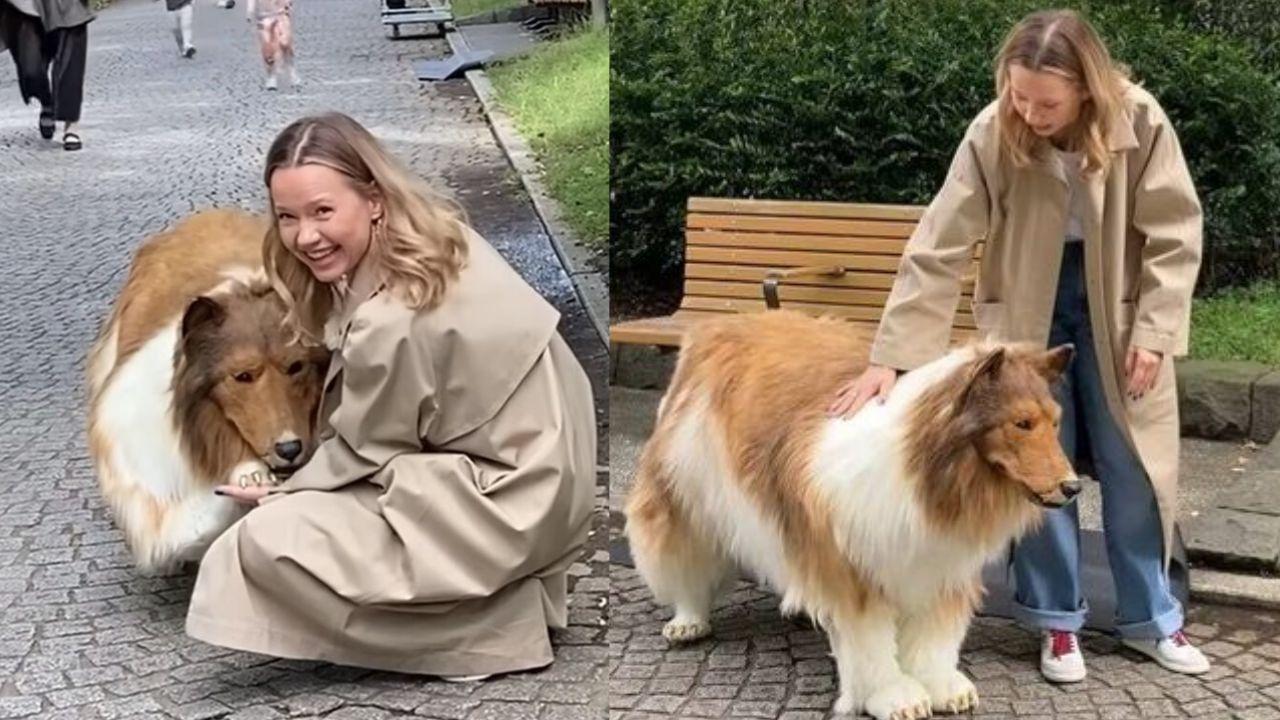 Imagen Principal de Nota: Hombre japonés da su primer paseo tras convertirse en un perro Collie