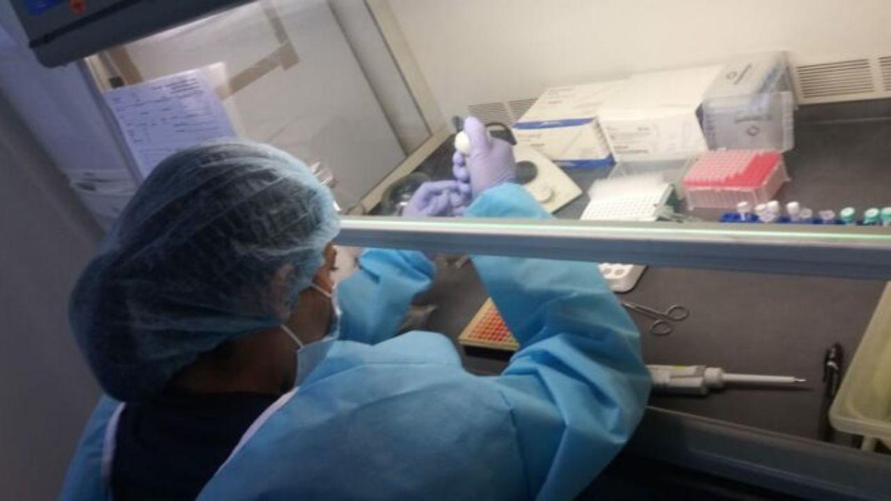 Imagen de ¿En qué casos se podrán usar los datos ADN en Honduras según la ley que aprobó el CN?