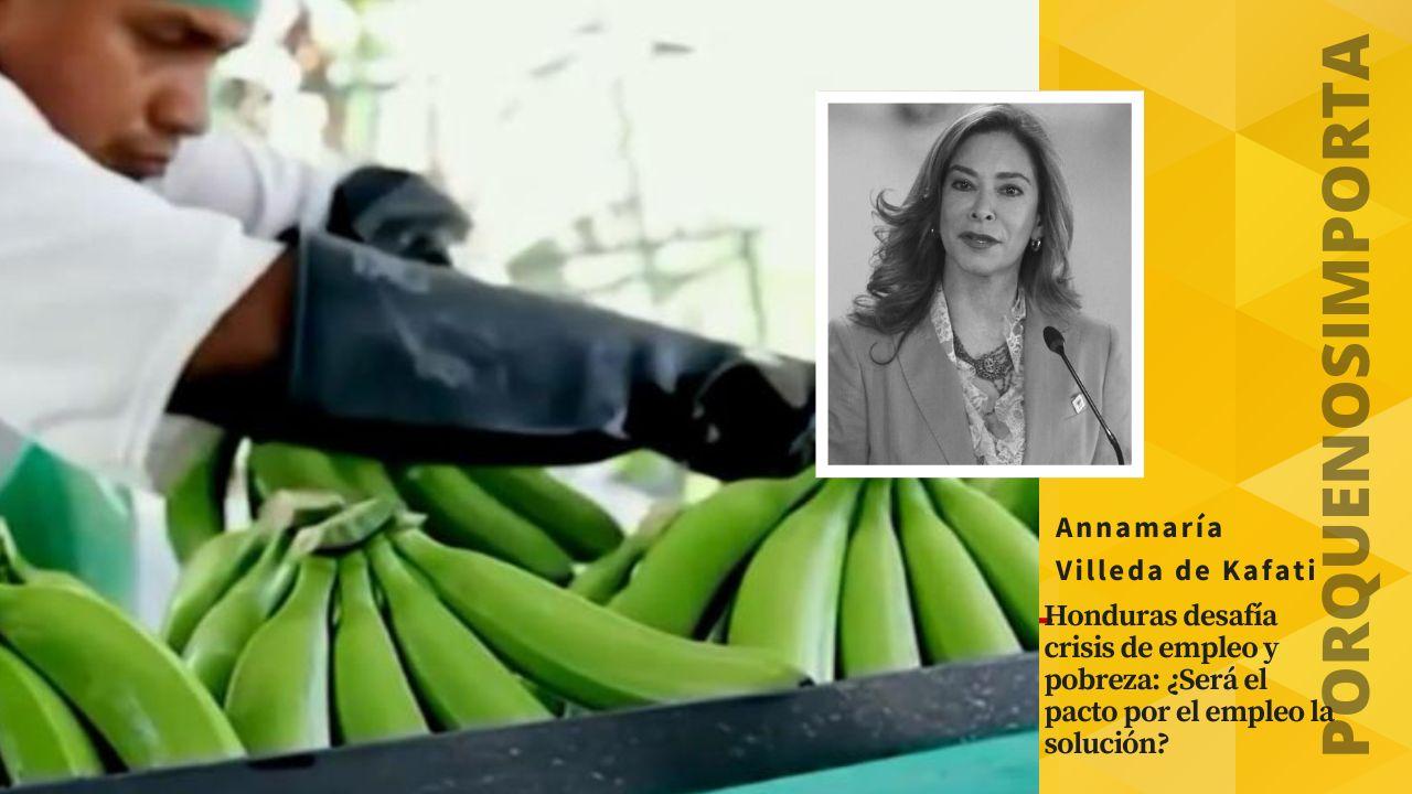 Imagen Principal de Nota: PNI: Honduras desafía crisis de empleo y pobreza: ¿Será el pacto por el empleo la solución?