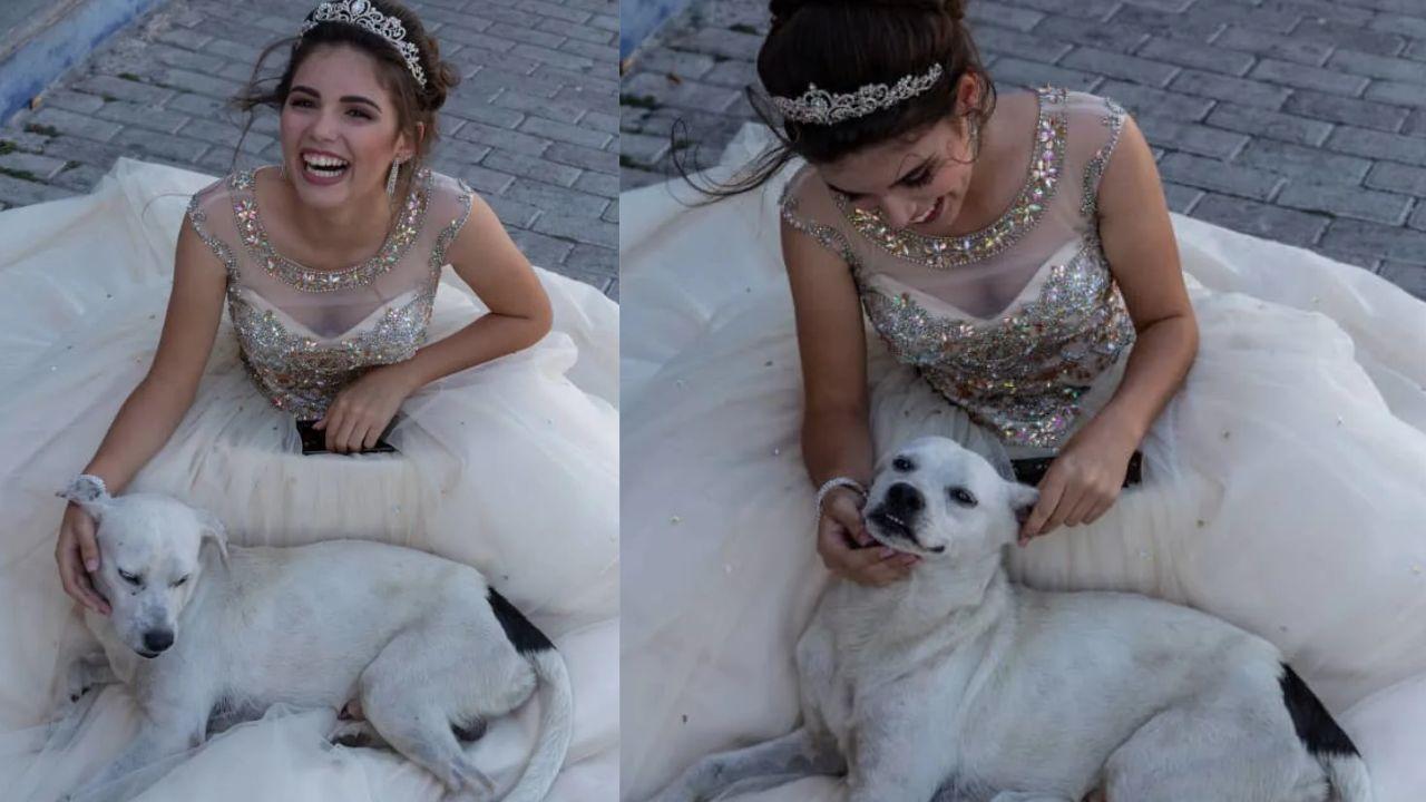 Imagen de ‘Firulais’ se convierte en protagonista en sesión de fotos de quinceañera