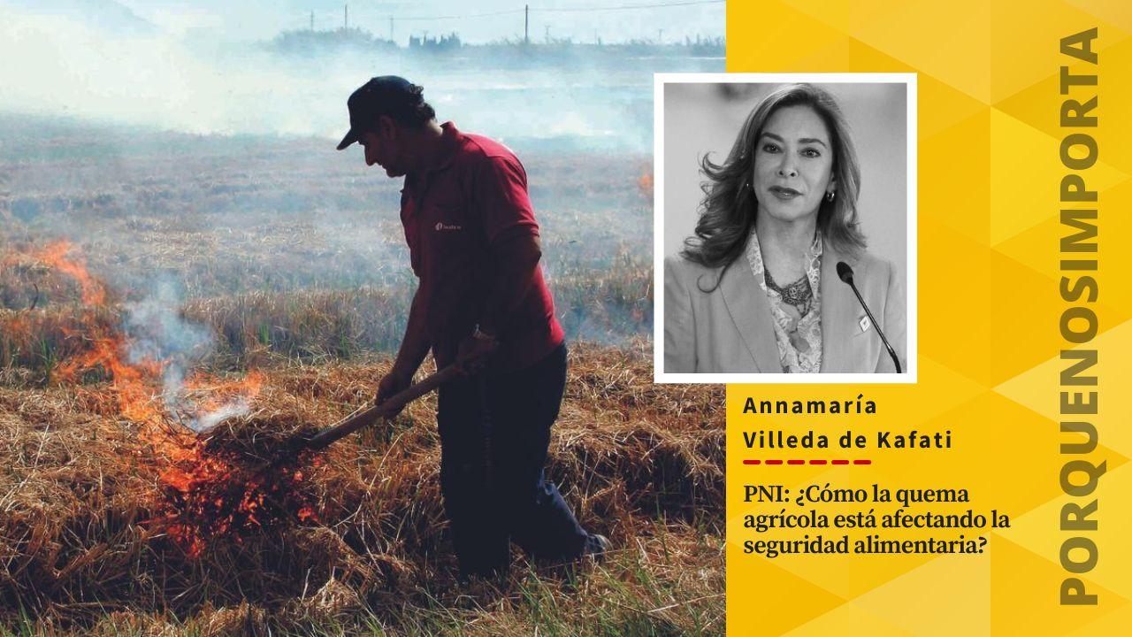 Imagen Principal de Nota: PNI: ¿Cómo la quema agrícola está afectando la seguridad alimentaria?