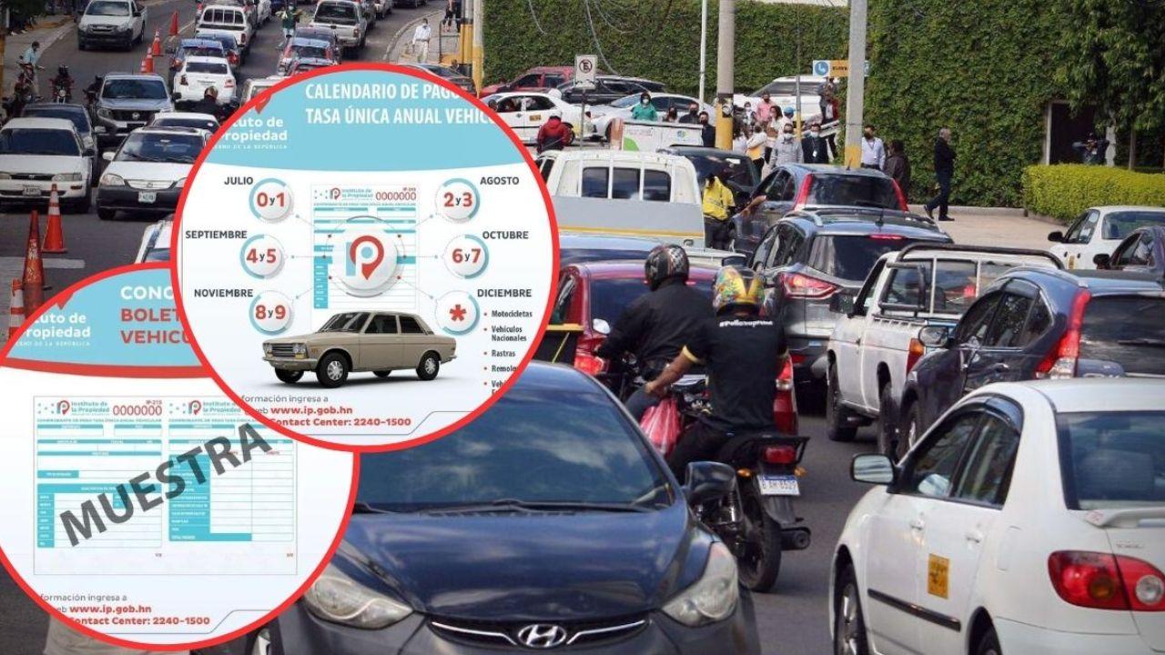 Imagen de Pago de matrícula vehicular: Fechas y cómo consultar monto en línea