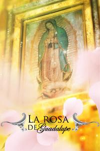 La Rosa de Guadalupe