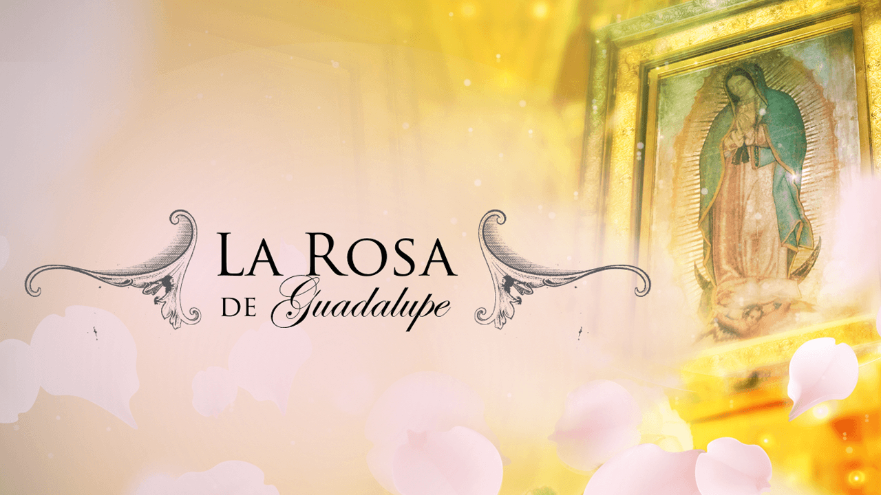 La Rosa de Guadalupe