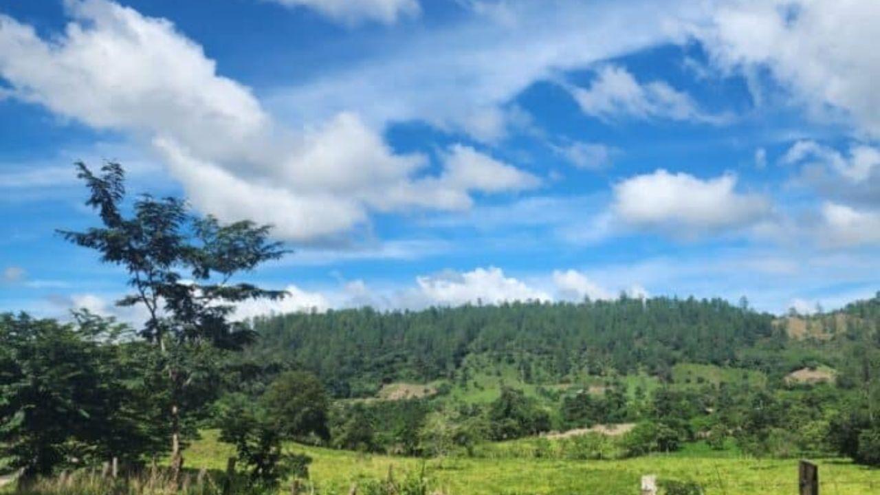 Imagen Principal de Nota: Pronóstico del tiempo: temperaturas cálidas y vientos fuertes para este viernes