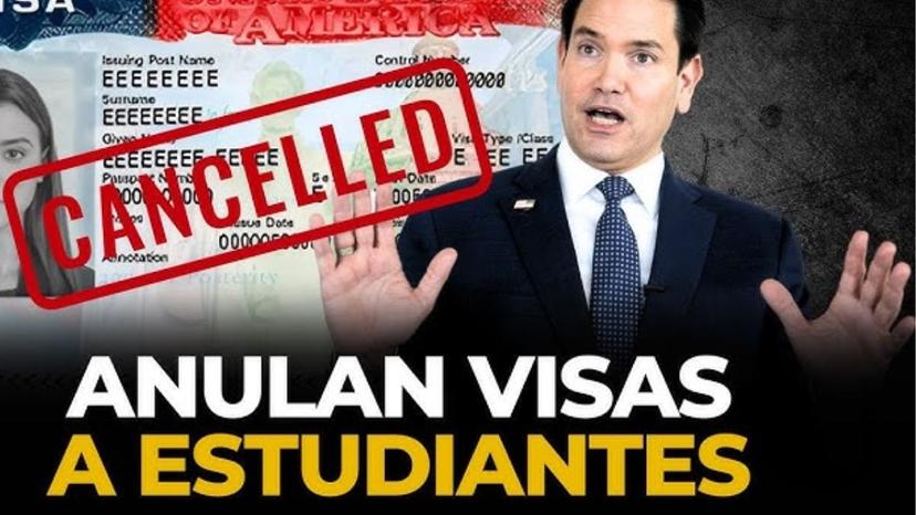 ¿EE. UU. está cancelando visas de estudiantes? Esto dice la abogada Marcela  Caro