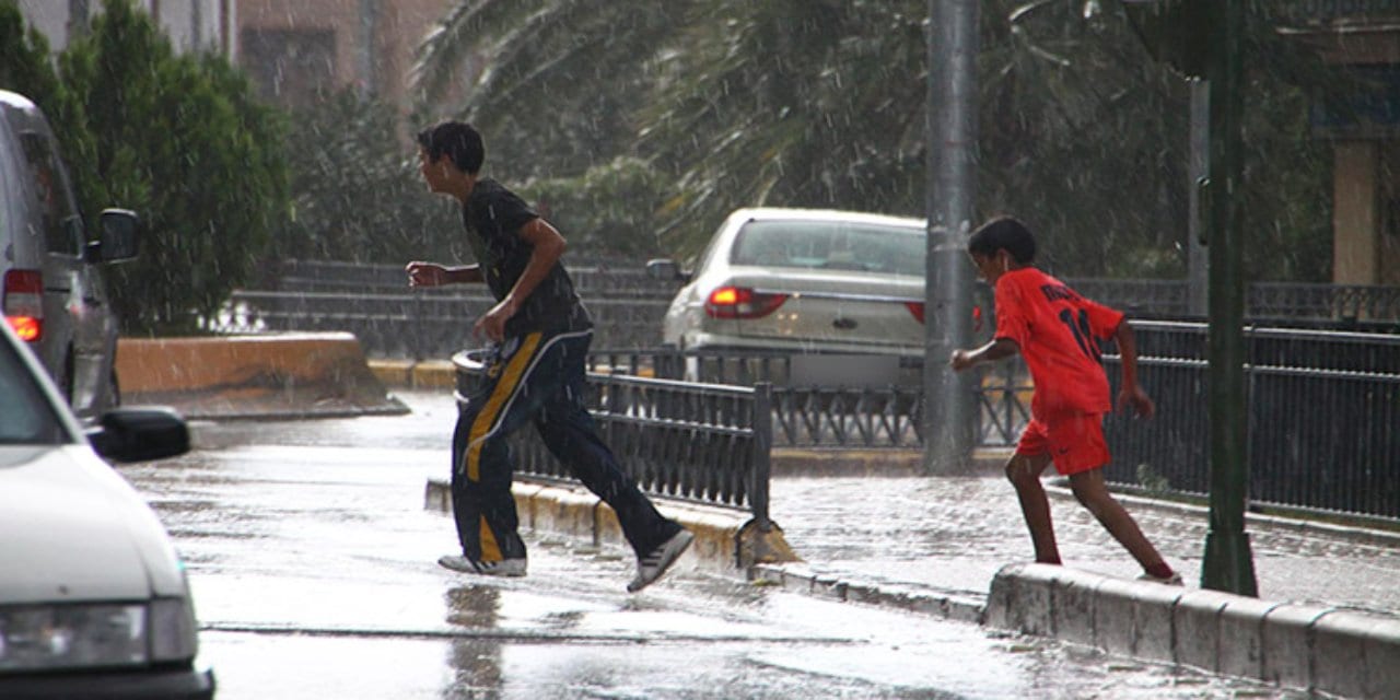Imagen de Estas son algunas razones por las que el agua lluvia podría enfermarte