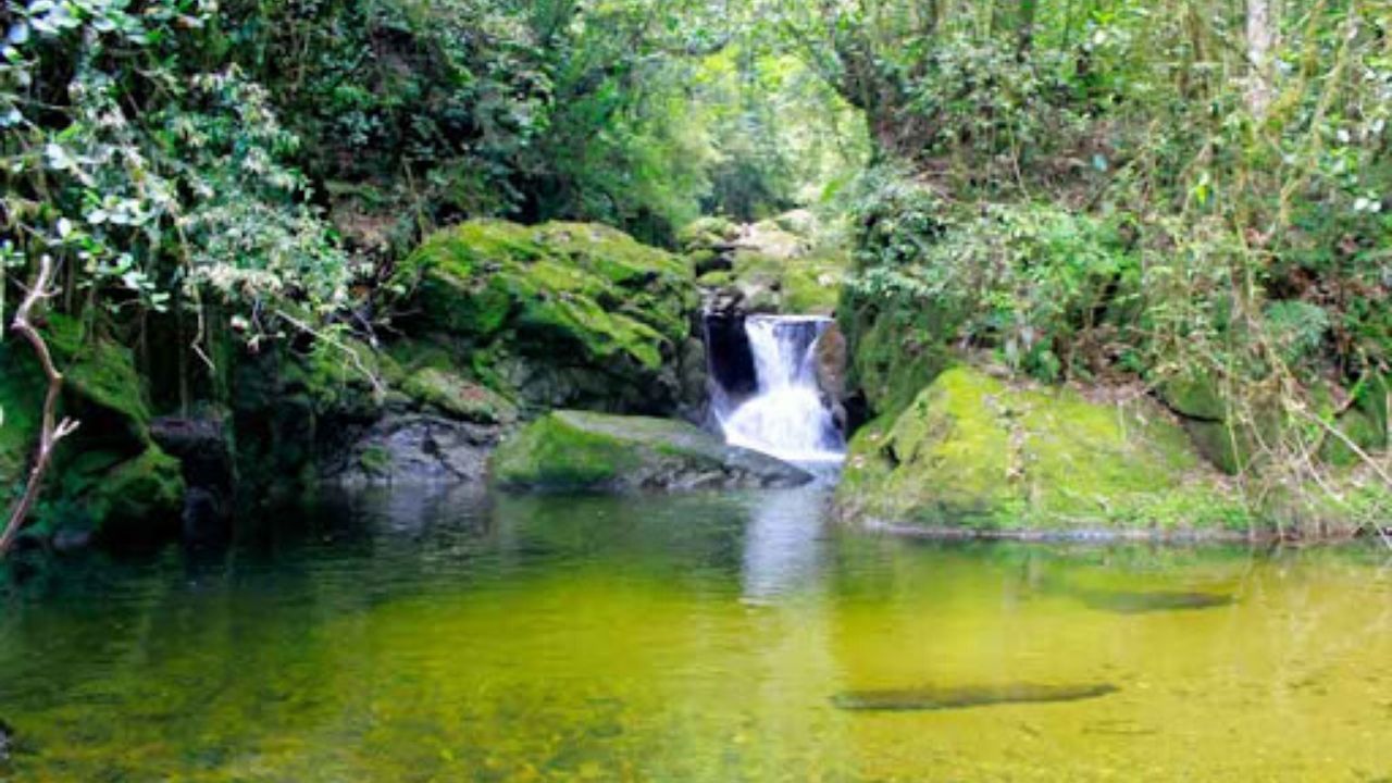 Imagen de Científicos revelan que más de  mil 500 millones de personas dependerán del agua de montaña a mitad de siglo