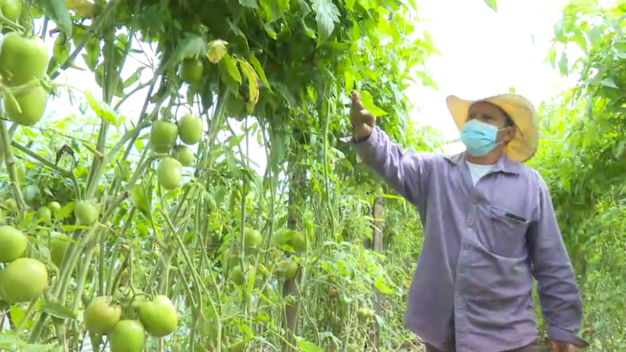 Imagen Principal de Nota: Porque nos Importa: El programa De Sol a Sol y su aporte a la reactivación agrícola