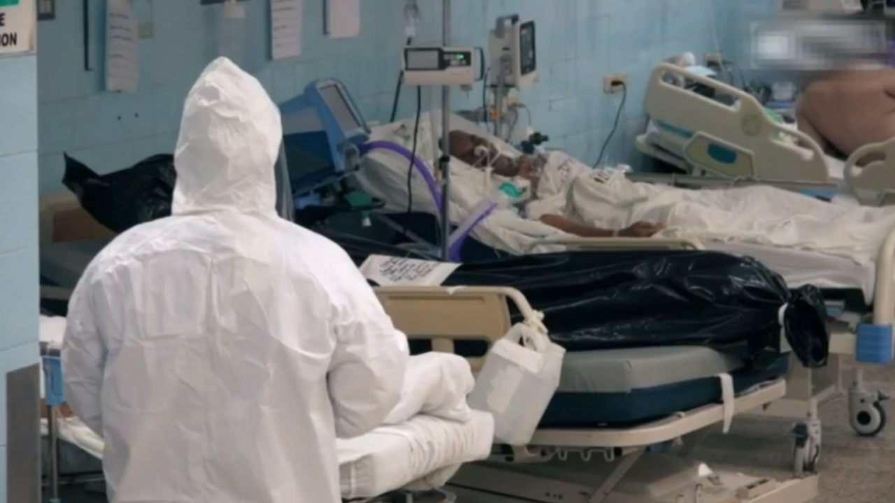 Imagen de ¿Cuáles son las secuelas leves o graves que puede dejar el covid-19 en los pacientes?