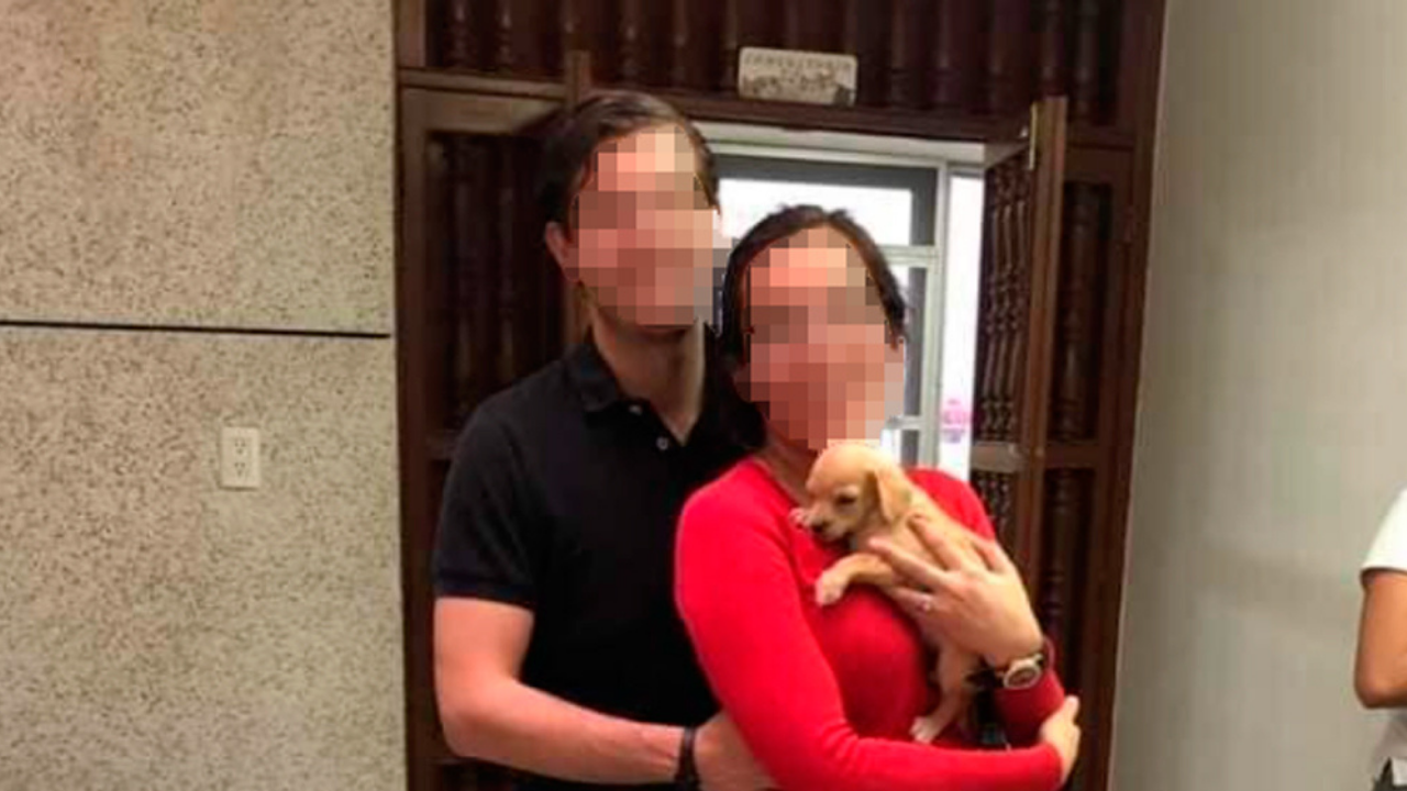 Imagen Principal de Nota: Denuncian en redes sociales a pareja que supuestamente adoptaba perritos para alimentar a sus serpientes