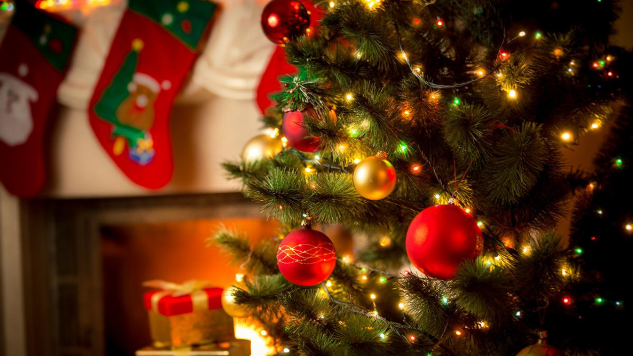 Imagen Principal de Nota: Navidad: decorar desde antes te hace más feliz, según estudio