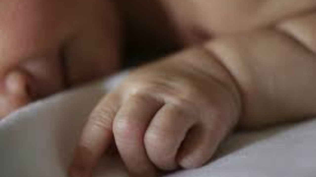 Imagen Principal de Nota: Los bebés de madres con covid-19 nacen con anticuerpos, según estudio científico