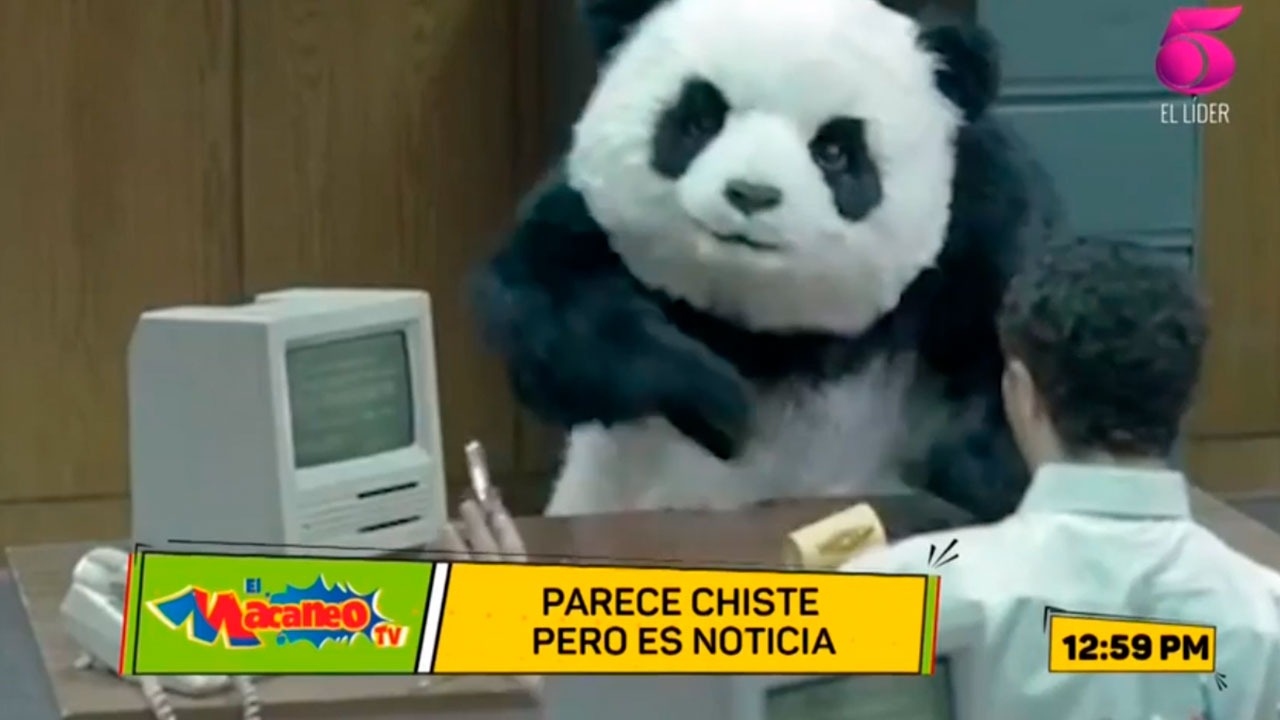 Imagen de El macaneo TV: ‘parece chiste pero es noticia en Honduras’