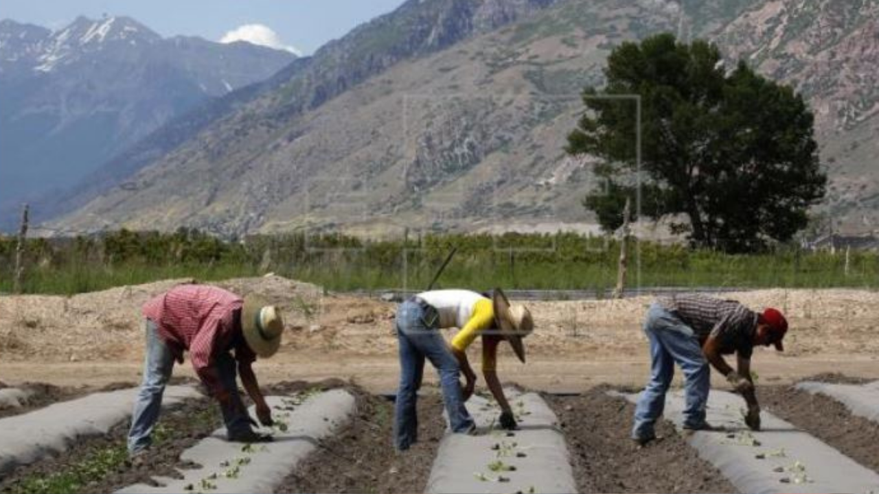 Imagen Principal de Nota: Pronostican huracanes y sequías más fuertes para  Centroamérica este 2021, esto le espera a Honduras