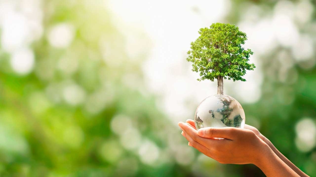 Imagen de Televicentro y Emisoras Unidas celebran el Día Mundial de la Tierra con su iniciativa PlantatónHN