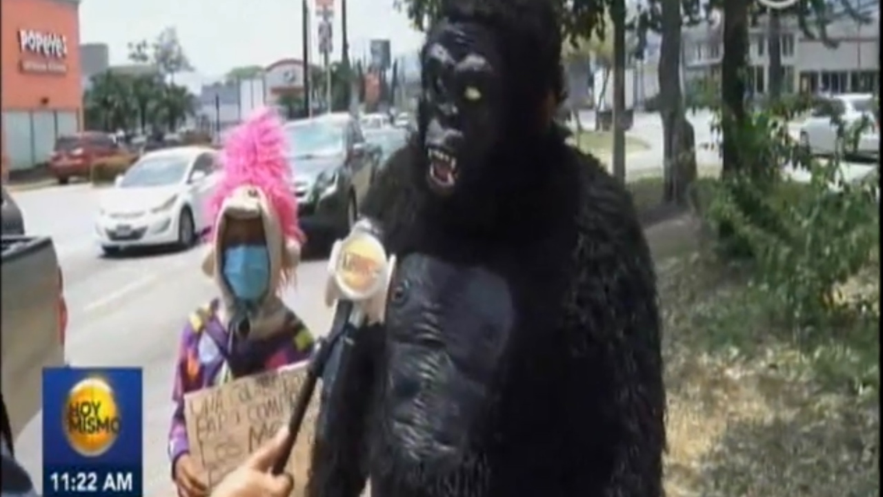 Imagen Principal de Nota: Hondureño se viste de King Kong para poder sostener a su familia