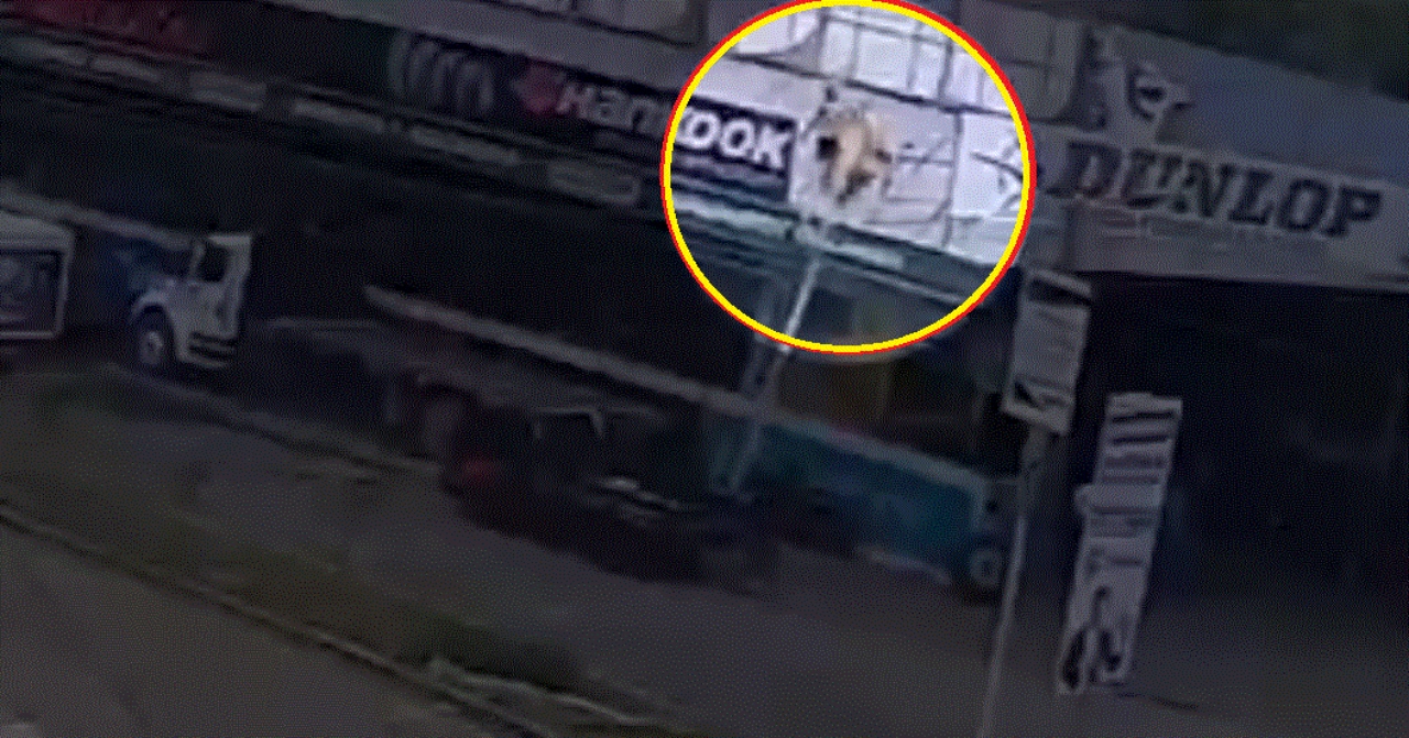Imagen Principal de Nota: ¡Impactante! Mira el momento en el que hondureño recibe descarga eléctrica desde un cable de alta tensión en Choluteca