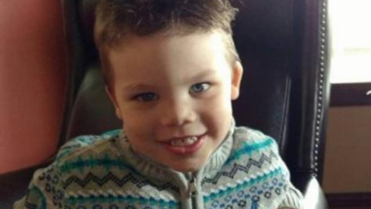 Imagen Principal de Nota: Revelan cuántos caimanes han encontrado en Disney tras la muerte de un niño de 2 años de edad